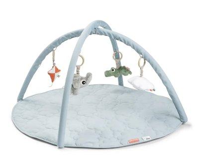 Ginsio de atividades Playground Blue Gym