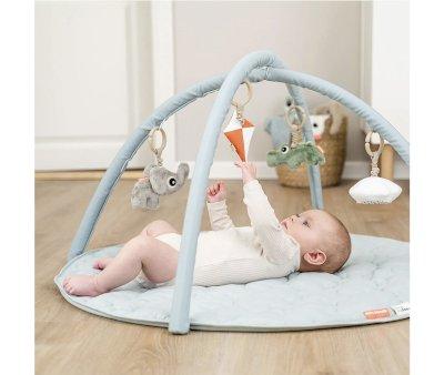 Ginsio de atividades Playground Blue Gym