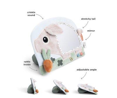 Miroir d'veil avec Activits Sensorielles Pigee