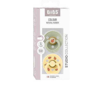 2 chupetas BIBS Studio Colour Round Ladybug Sage Mix