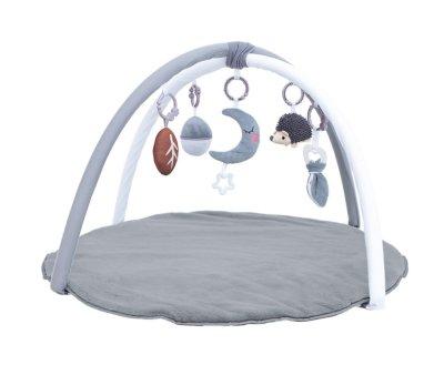 Gimnasio de Actividades Grey