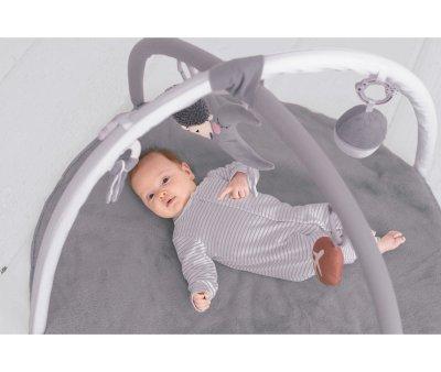 Gimnasio de Actividades Grey