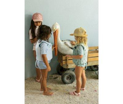Gilet de Flottaison et Apprentissage Starlight