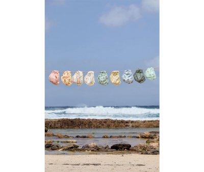 Cueca fralda Surfboards