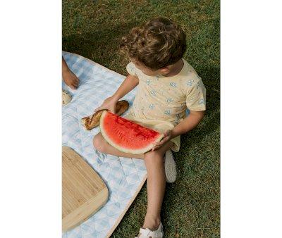 T-shirt Cotone Monnka Surf Van