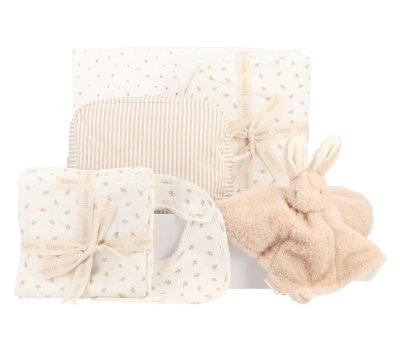 Pack  presente para recm-nascidos Baby Bunny