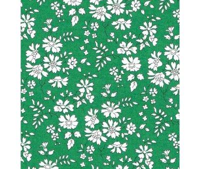 Vestito e Fascia Bambole Minikane Liberty Capel Verde mile & Ida