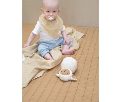 2 Seca babinhas OCS Wheat