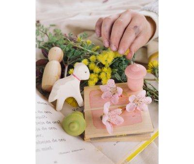 Hello Spring Ostheimer x Grapat Edizione Limitata