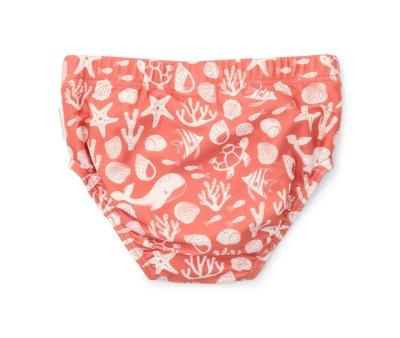 Baador Paal Ocean Sea Life Coral Rojo