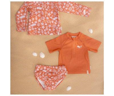 Baador Paal Ocean Sea Life Coral Rojo