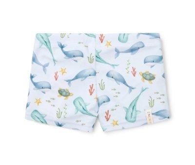 Baador Bxer Ocean Sea Life Multicolor