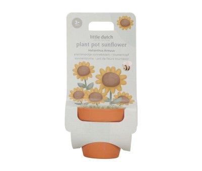 Maceta Planta Girasol