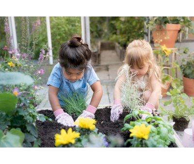 Guantes de Jardn Fairy Garden