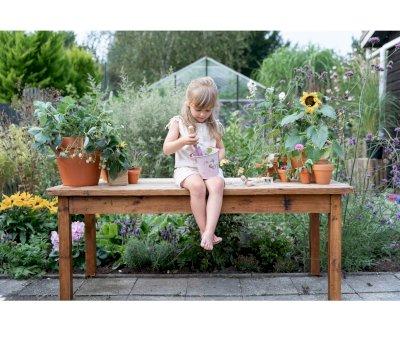 Cubo Metal Fairy Garden