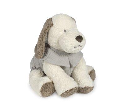 Peluche Dog Sintra Verde