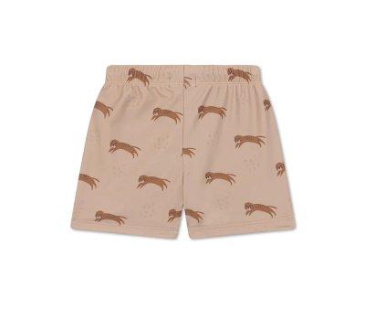 Baador Short Roamer