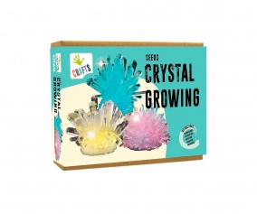 Growing Crystal Seeds