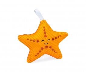Star Sea Sponge