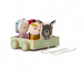 Giocattolo Trainabile con Classificatore