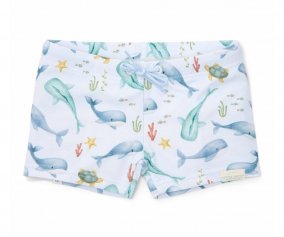 Baador Bxer Ocean Sea Life Multicolor