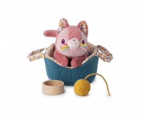 Jeanne the Cat and Her Basket