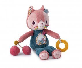 Jeanne The Multi-Activity Cat