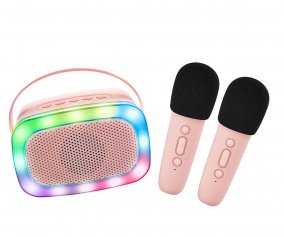 Karaoke Party con 2 Microfoni Pink