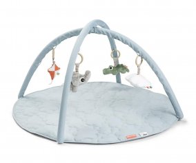 Ginsio de atividades Playground Blue Gym 