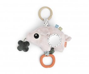 Activits avec Miroir Sensoriel Pigee