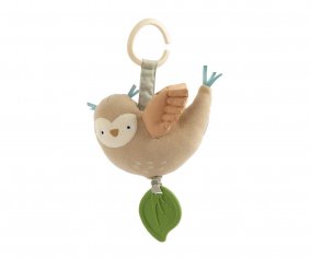Activits Sensorielles Blinky Le Hibou