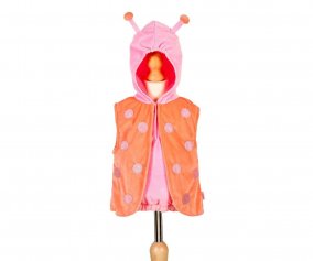 Disfraz Ladybird Daisy 2 aos