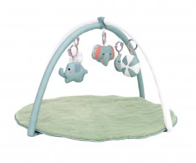 Tapis d'veil avec Arches Mint