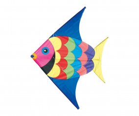 Aquilone Fish